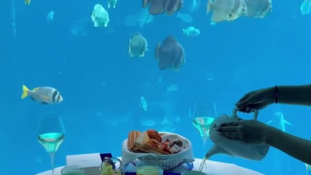 Imagine having breakfast in an underwater suite!