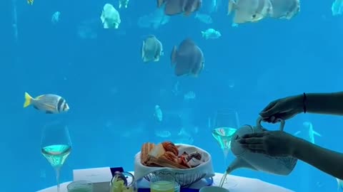 Imagine having breakfast in an underwater suite!