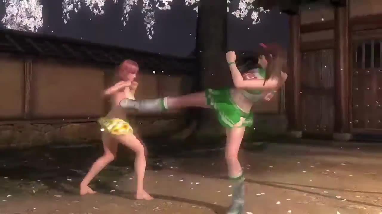 Dead or Alive5 Last Round Battle470