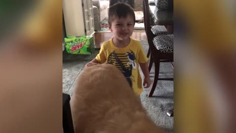 Funniest kids vs Animals