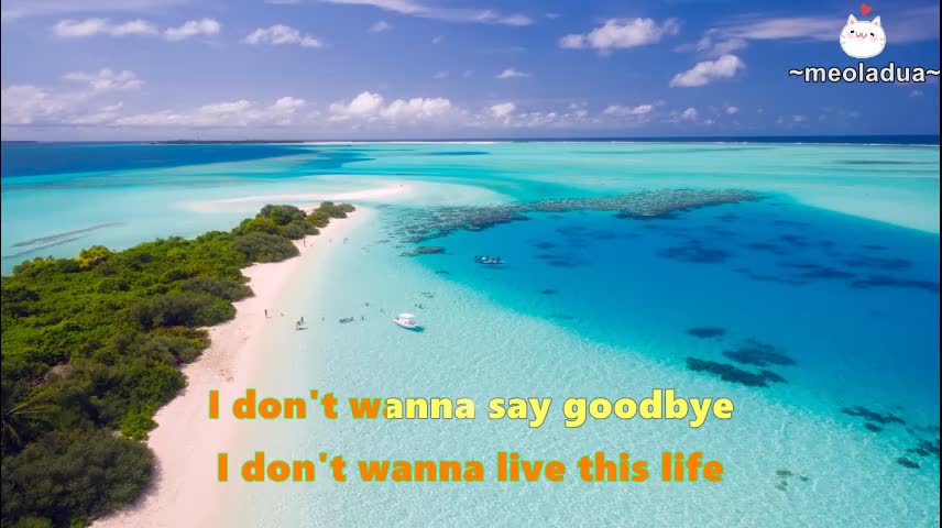 BEAT KARAOKE: How did I fall in love with you (2)
