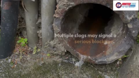 Top 5 Signs You Need to Call a Plumber Immediately