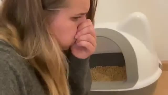Funny, Cat, Video, #trending, #shorts, #dog, #dogs, #tumble, #