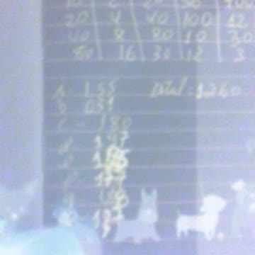 the money of life milionaria4