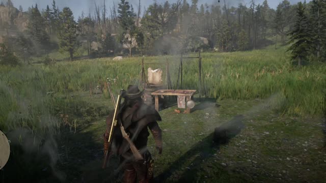 RDR2 - Another damn cheater!