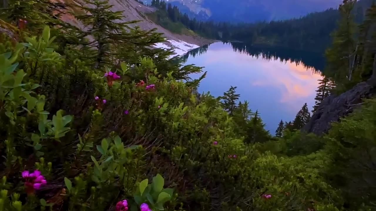 Mt. Baker Volcano, Washington, USA