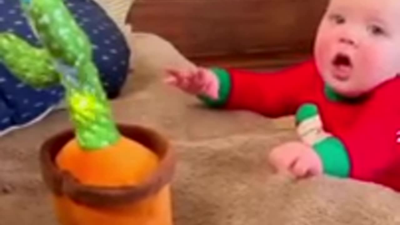 Cute babies playing with dancing cacutos