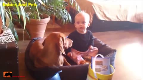 Cute Baby makes your day laughing playing together with Dog