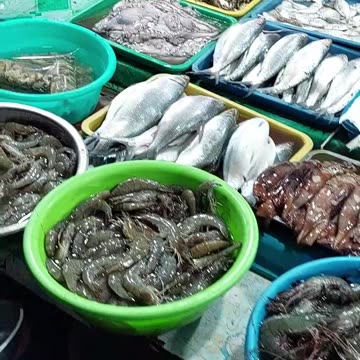 Seafood Market in Pangasinan Philippines!! Amazing, rare, exotic fish I've never seen before!!