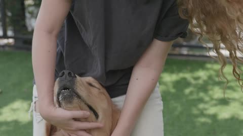 Woman Petting a Dog 2022