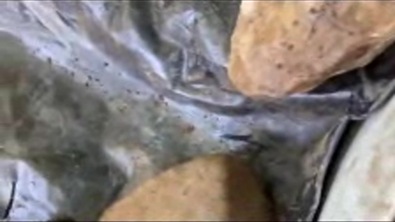 DIY Pond
