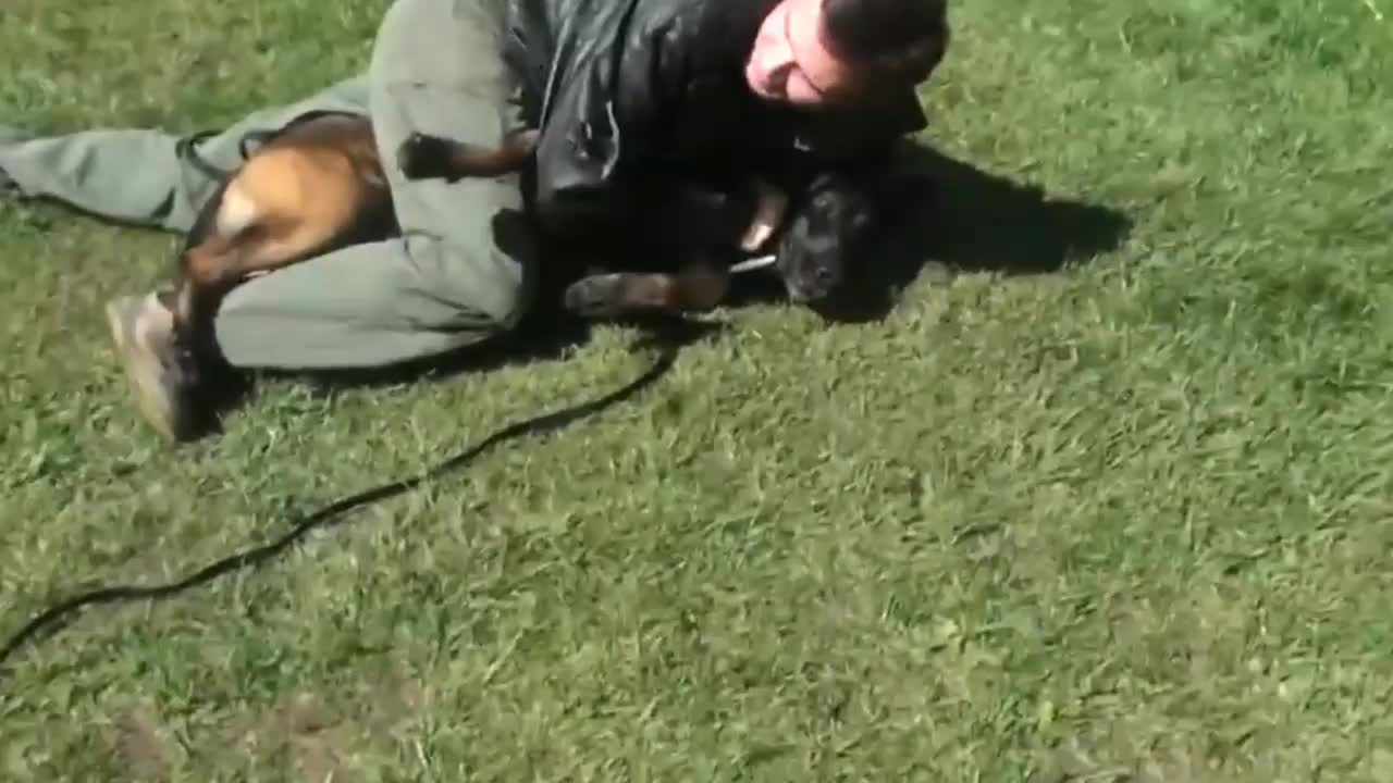 Self-defense training against a dog