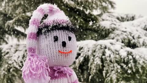 Snowman is the best in winter.