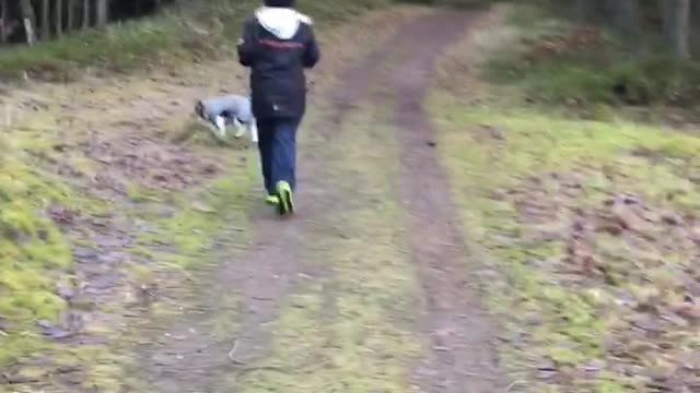 Harry and Fabian have fun in the woods