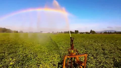 Rainbow after rain