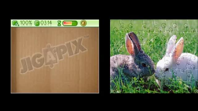 Jigapix Pets Episode 18