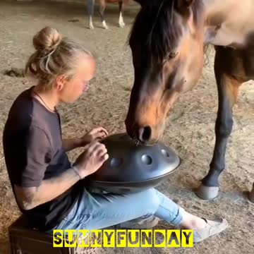 When the man is playing handpan drum the horse is enjoying