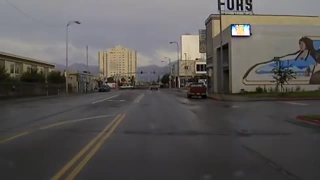 Police chase bear through downtown Anchorage, Alaska