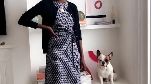 Black girl modeling next to french bull dog frenchie