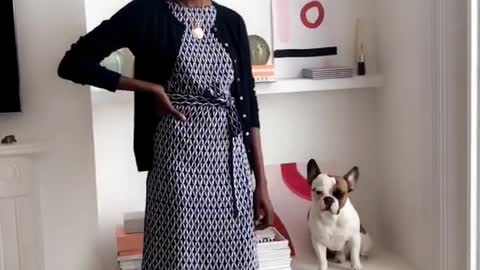 Black girl modeling next to french bull dog frenchie