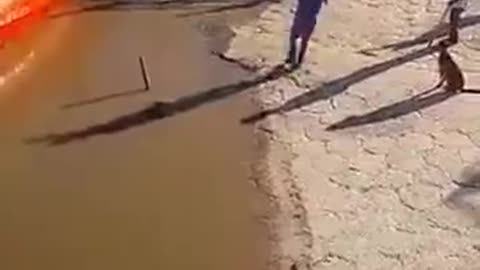 A boat fell in water