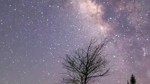 Use a camera to record the beauty of the night sky and the gestures of plants