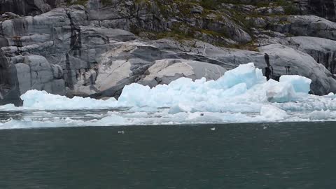 LeConte Iceberg