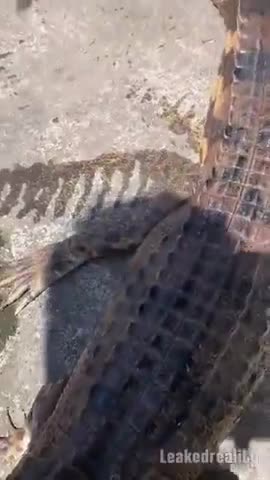 for those playing with the things of the devil