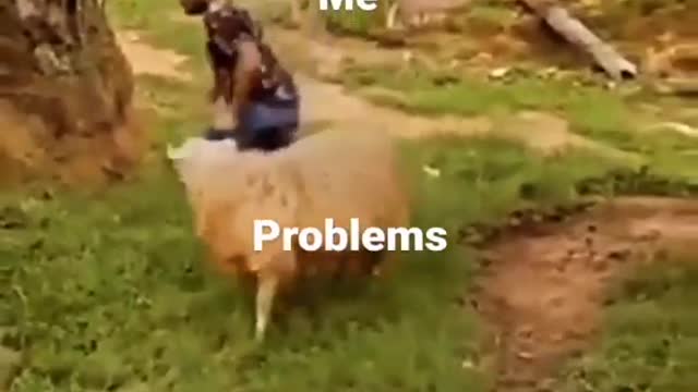 how to People's enjoying with problem