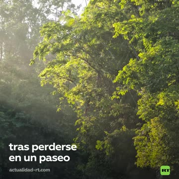 Anciano es rescatado con vida tras pasar 8 días perdido en la selva de Brasil