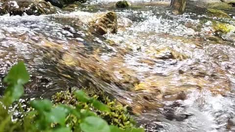 Waterfall on Creek