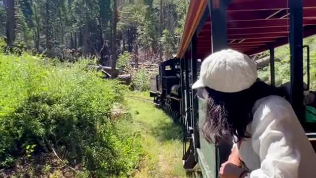 Did you know you can ride a steam train just outside of Yosemite National Park!?