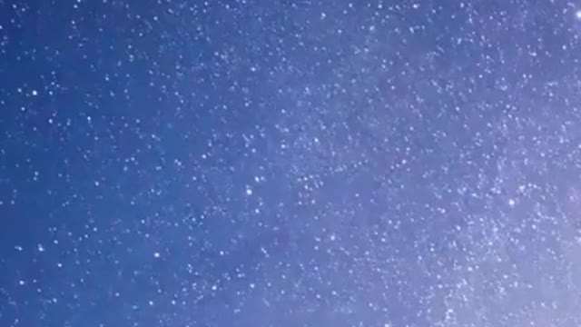 The stars