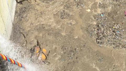 Forever Unclean! Diver Stuck in Sewage Tank