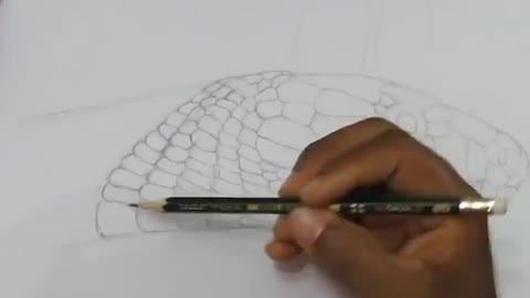 A vivid hand sketch of a snake