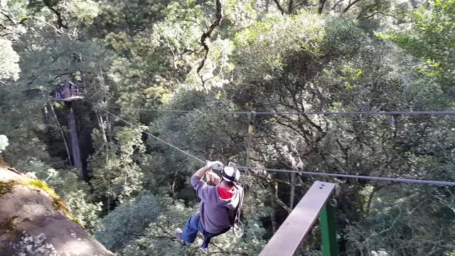 Zip Lining In Tsitsikamma Forest