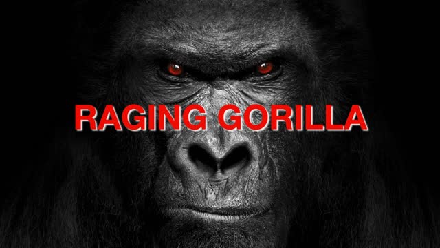 Raging Gorilla Intro