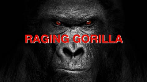 Raging Gorilla Intro