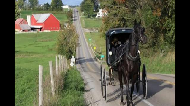 Amish Wedding Song