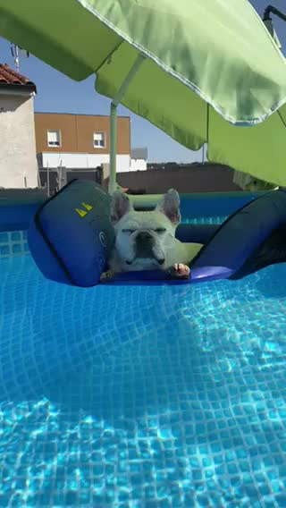 Petite sieste dans l’eau