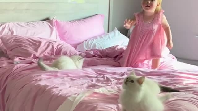 My cats got to try the toilet paper hanging from a fan activity today