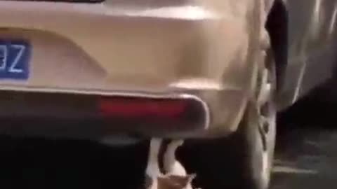 Exercise