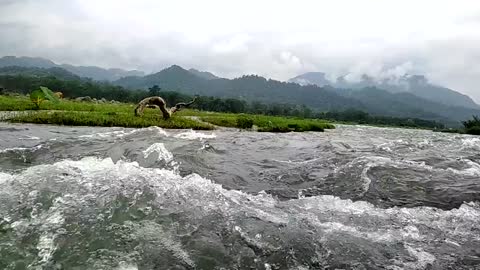 Beautiful Water/Fresh nature in our bodoland, North East India