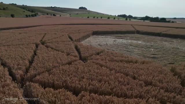 New Crop Circle - July 17, 2022. UK