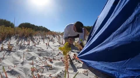 3 ! days ! SOLO ! CAMPING ! with ! No Food Alone In The Bush!