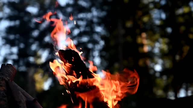 fire burning video to relax your mind