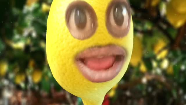 Funny Lemon🍋