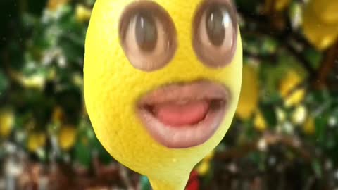 Funny Lemon🍋