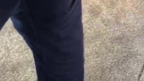 mass shooting in new zeland mosque