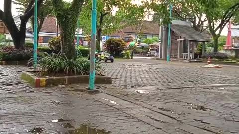 Anakku mz brow